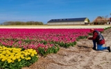 Tulpenrit 2023 19